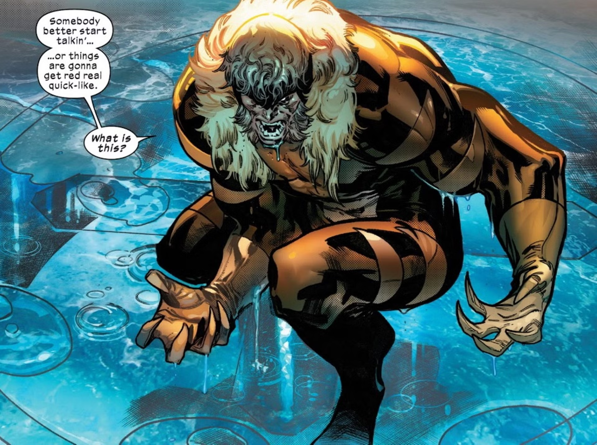 Sabretooth luchó contra Wolverine en infinidad de ocasiones, aunque alguna vez lo hicieron juntos. Se reencontraron varias veces, con Sabretooth como villano y Wolverine como héroe. Sabretooth luchó contra Wolverine en infinidad de ocasiones, aunque alguna vez lo hicieron juntos. Se reencontraron varias veces, con Sabretooth como villano y Wolverine como héroe.