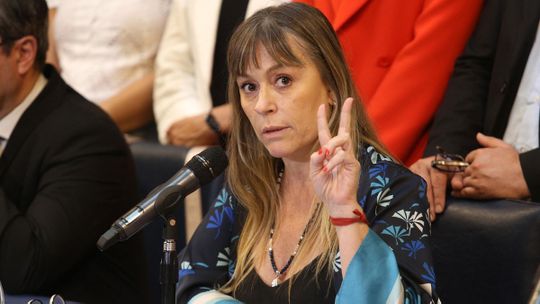 La senadora K, Juliana Di Tullio. La senadora K, Juliana Di Tullio.