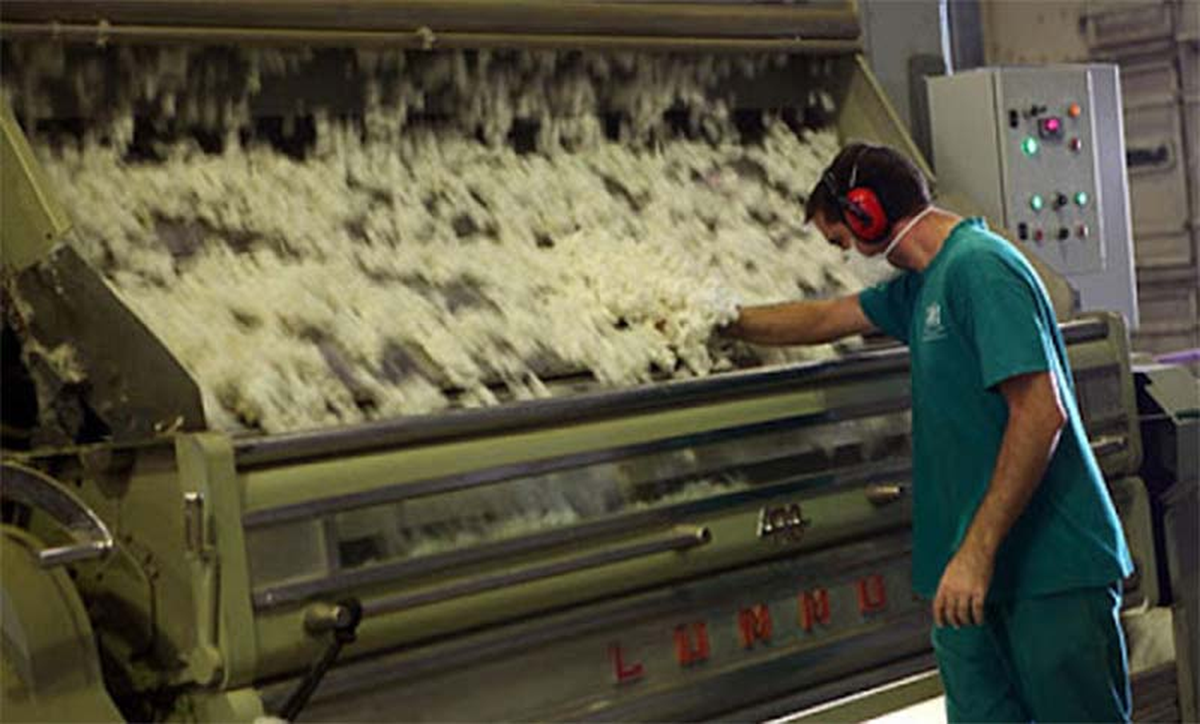 Desmotadores de algodón también iniciaron hoy un paro nacional. Desmotadores de algodón también iniciaron hoy un paro nacional.