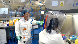 En China, experimentos con coranavirus se están llevando a cabo por debajo de los niveles de bioseguridad, según expertos. En China, experimentos con coranavirus se están llevando a cabo por debajo de los niveles de bioseguridad, según expertos.