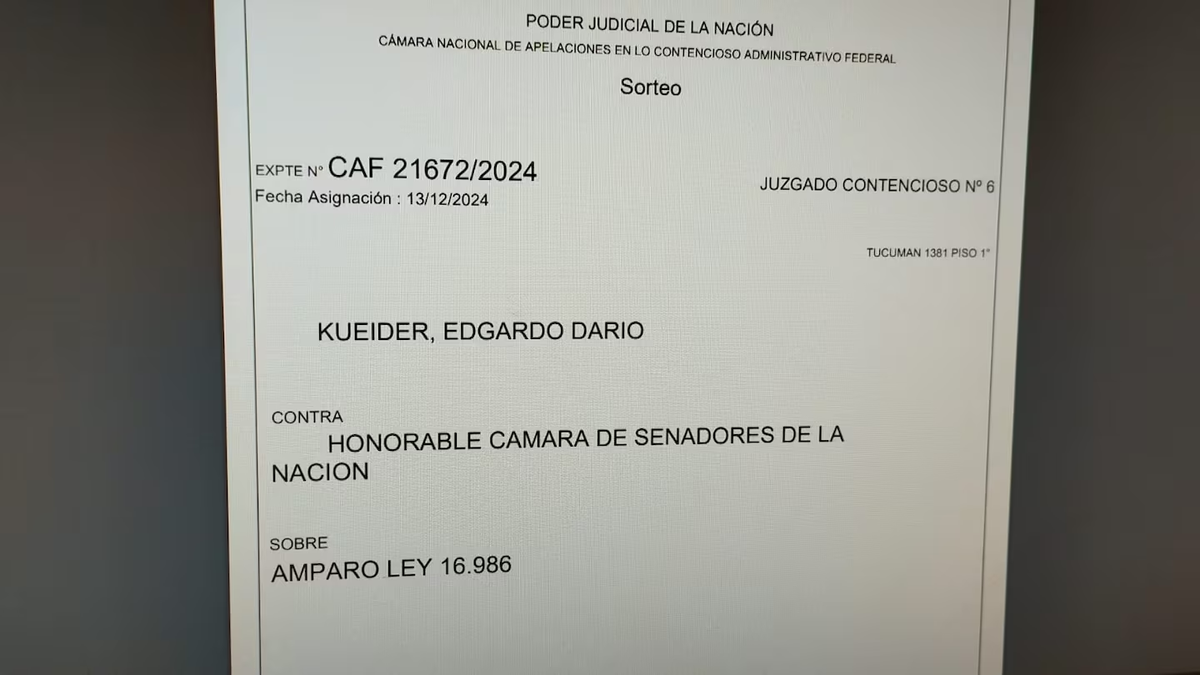 El amparo presentado por Edgardo Kueider. El amparo presentado por Edgardo Kueider.