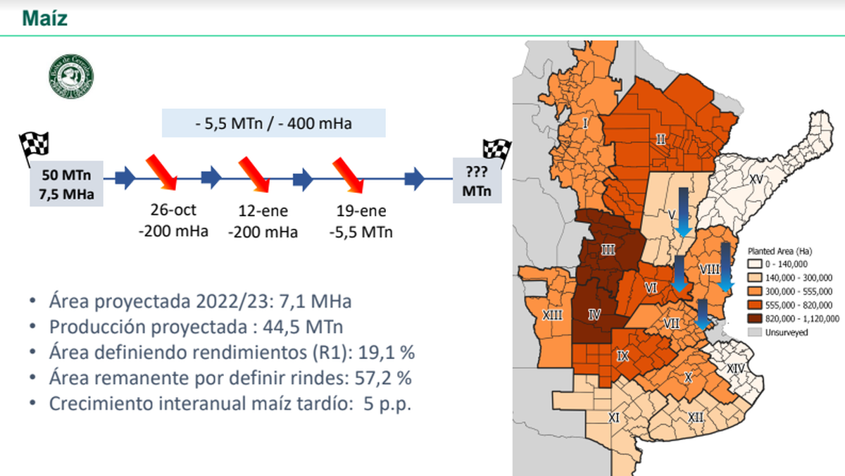 Gráfico del maíz del informe de la Bolsa de Cereales de Buenos Aires.