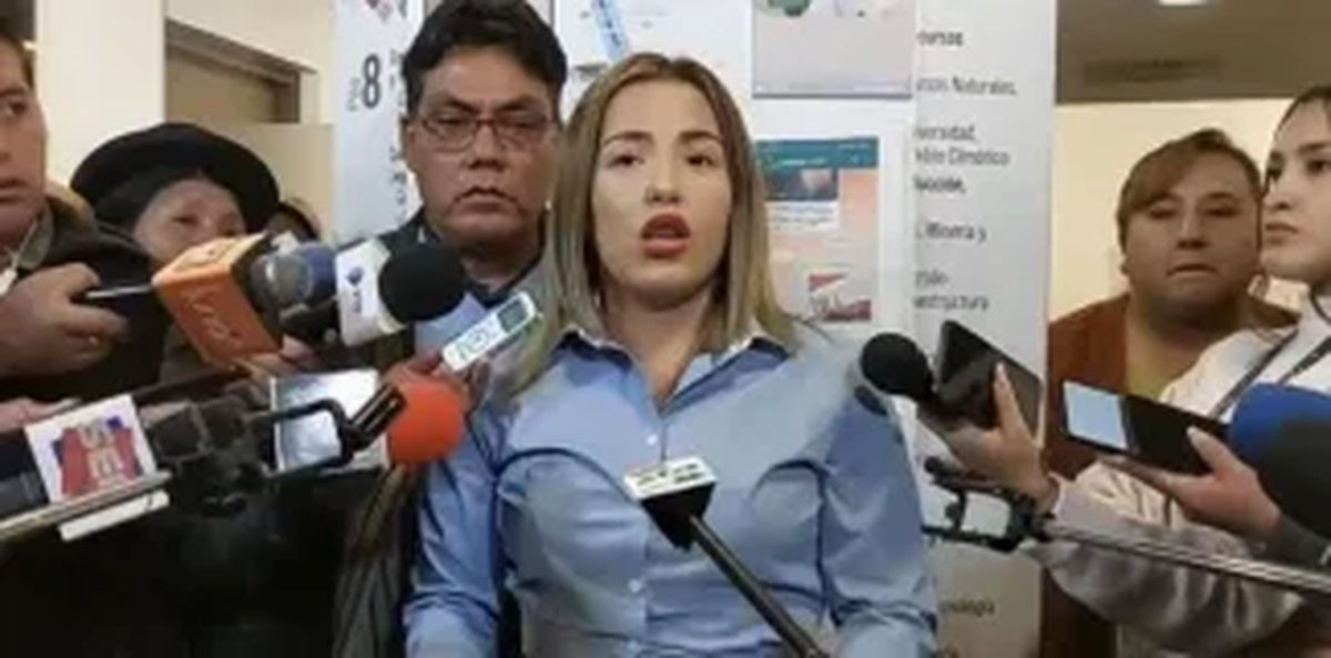 Yessica V.C. acusó a Luis Arce por acoso sexual y abuso de poder. Yessica V.C. acusó a Luis Arce por acoso sexual y abuso de poder.