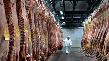 China le puso un límite a la carne argentina hasta 2028 con un arancel del 55%