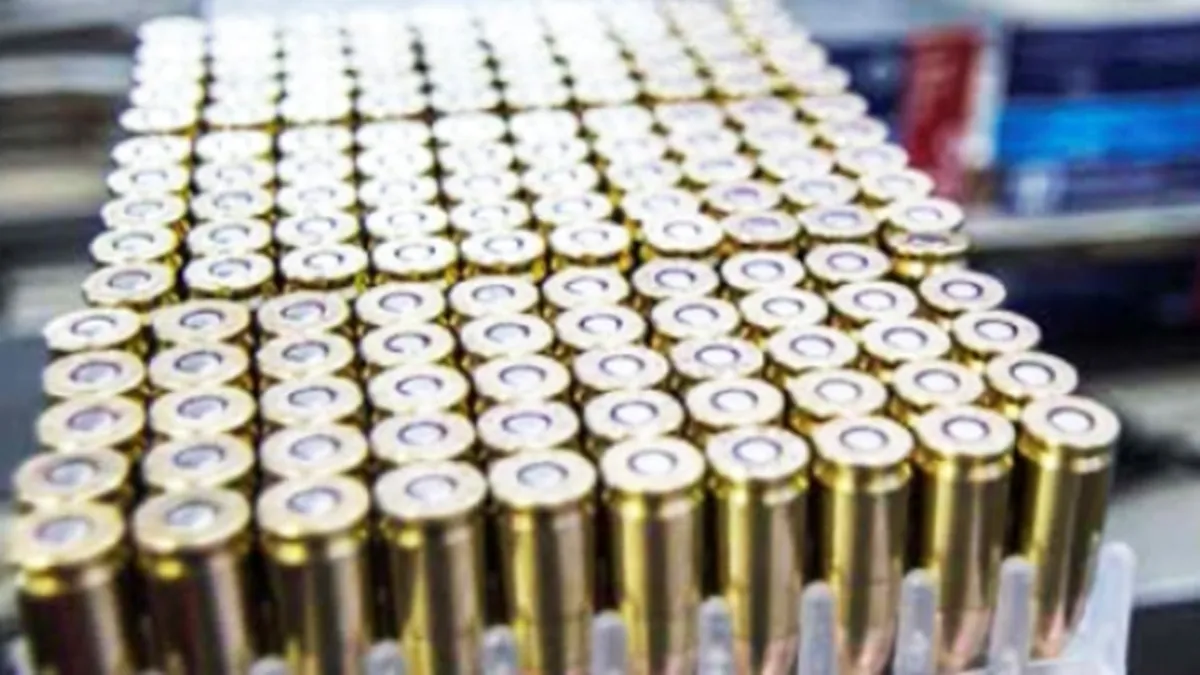 Redescubriendo el Estado. Redescubriendo el Estado.