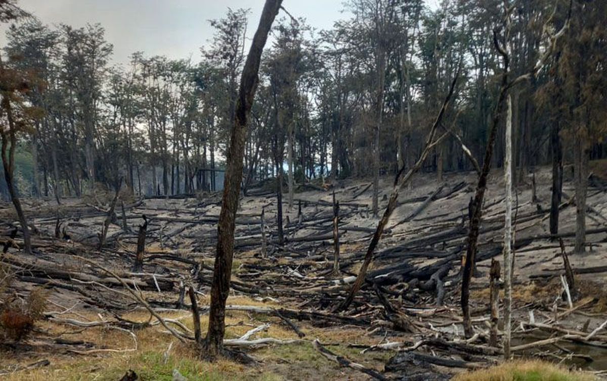 Las lluvias parciales colaboraron en mantener contenido el fuego, pero el incendio se mantiene activo.