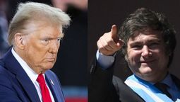 Alejandro Werner, exdirector del FMI, dijo que más allá de las elecciones en USA, lo que frena un acuerdo con el organismo es la política cambiara de Javier Milei.