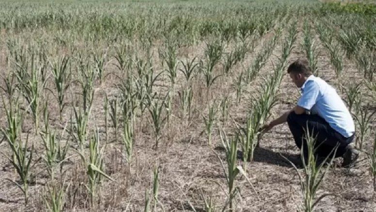 Beneficios AFIP para el campo: Cómo acceder y desde cuándo