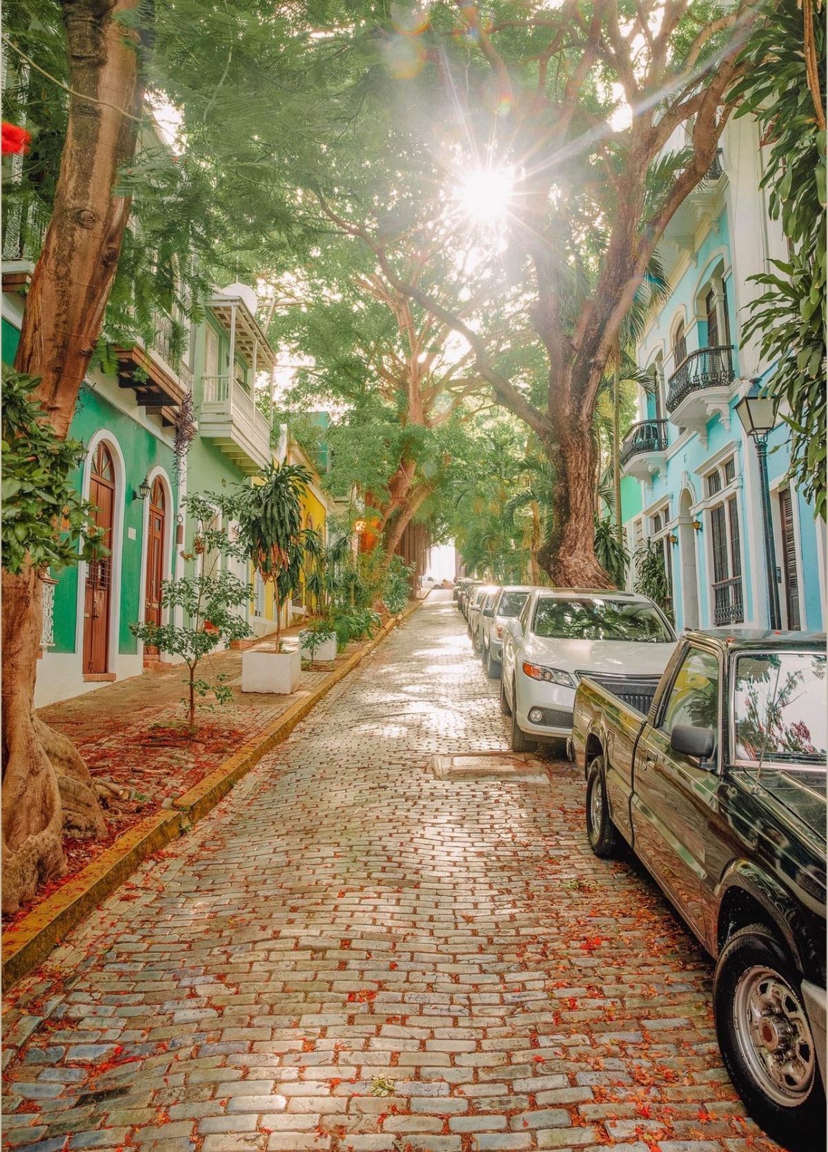 Las callejuelas adoquinadas del Viejo San Juan, corazón histórico y cultural de Puerto Rico, hoy epicentro del renovado boom turístico en la isla. Las callejuelas adoquinadas del Viejo San Juan, corazón histórico y cultural de Puerto Rico, hoy epicentro del renovado boom turístico en la isla.