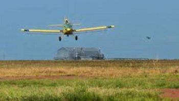 bayer invertira us$5600 m para desarrollar herbicidas sin glifosato bayer invertira us$5600 m para desarrollar herbicidas sin glifosato