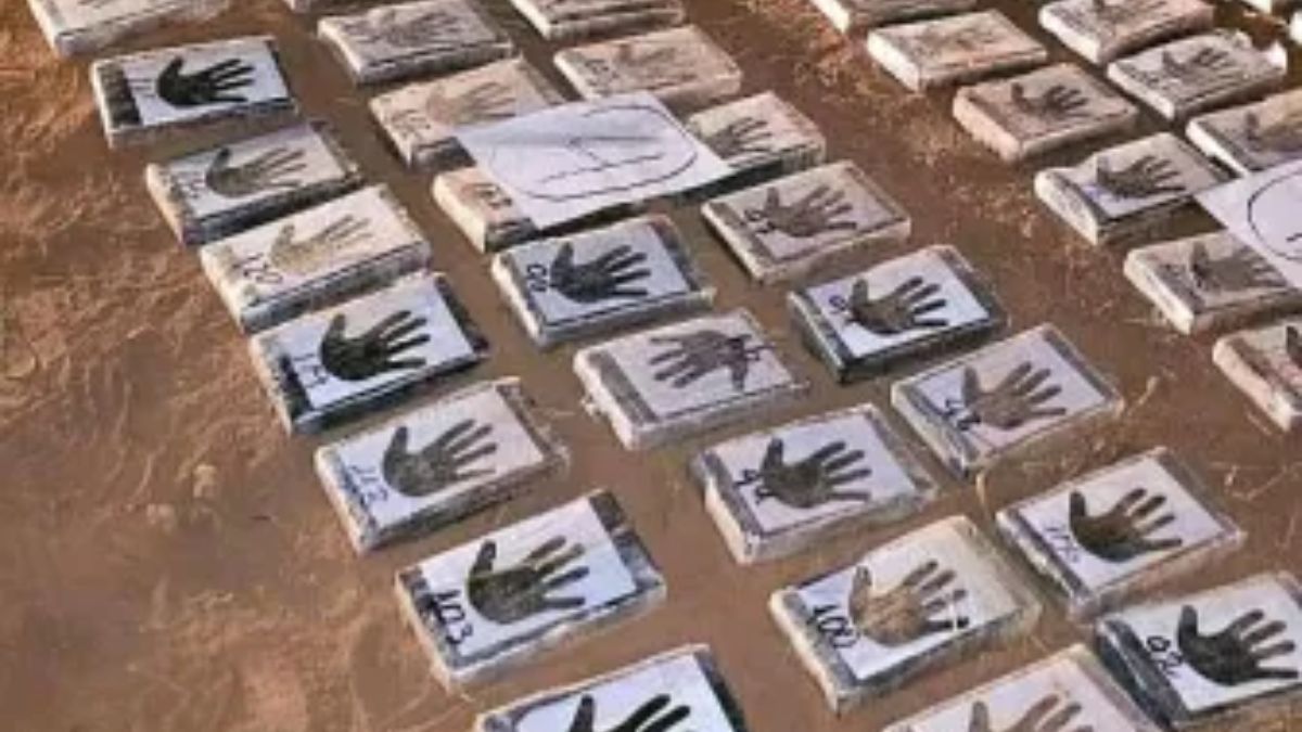 La droga secuestrada (Foto: Diario Chaco) La droga secuestrada (Foto: Diario Chaco)