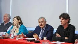 Storani, Morales y Loustea, la conducción partidaria de la UCR.&nbsp;