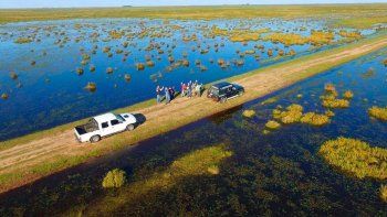 Con más agua serán más lindos, los Esteros del Iberá Con más agua serán más lindos, los Esteros del Iberá