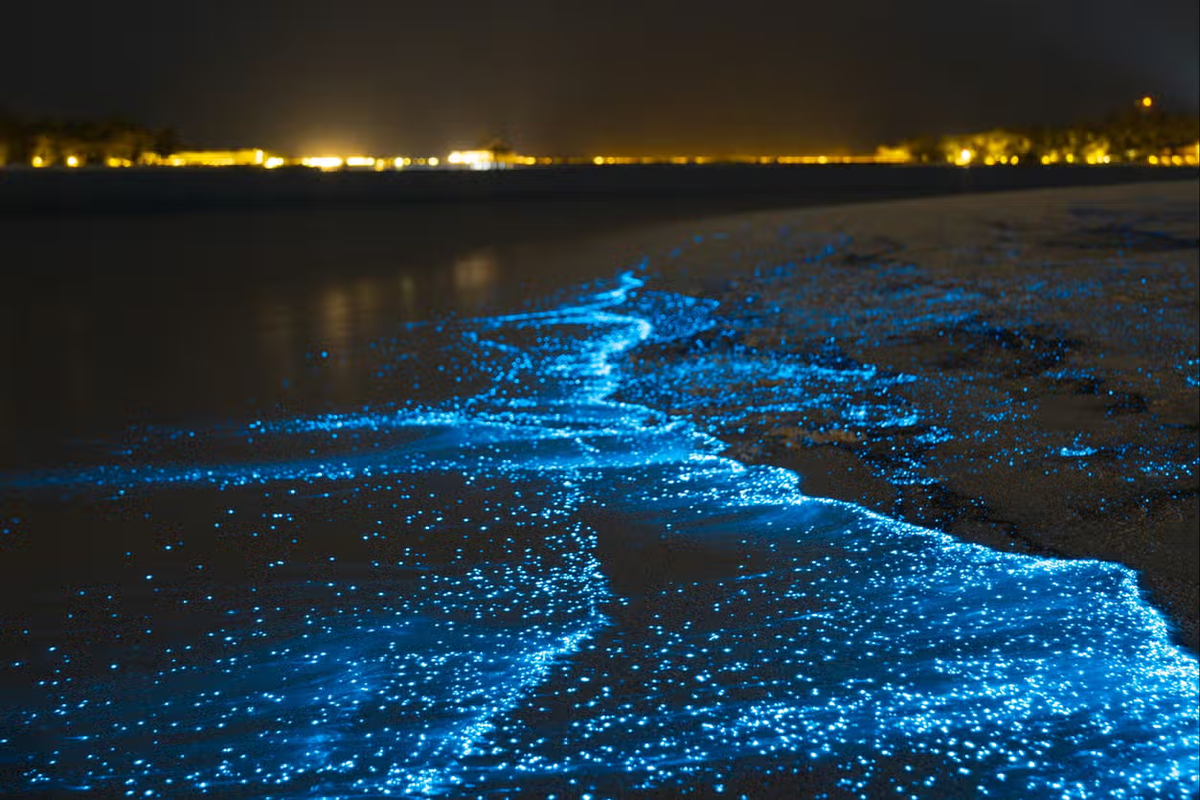 Uno de los destinos más alucinantes para viajar. Uno de los destinos más alucinantes para viajar.