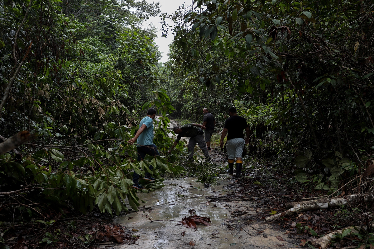 Amazonia, territorio en riesgo para la Humanidad.