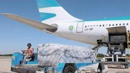 altText(En medio del faltante de vacunas para el país, el avión de AA traerá dosis para dar a Bolivia)}