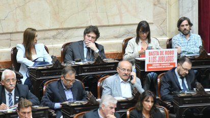 Sin PASO, las denuncias empiojan la campaña de Javier Milei