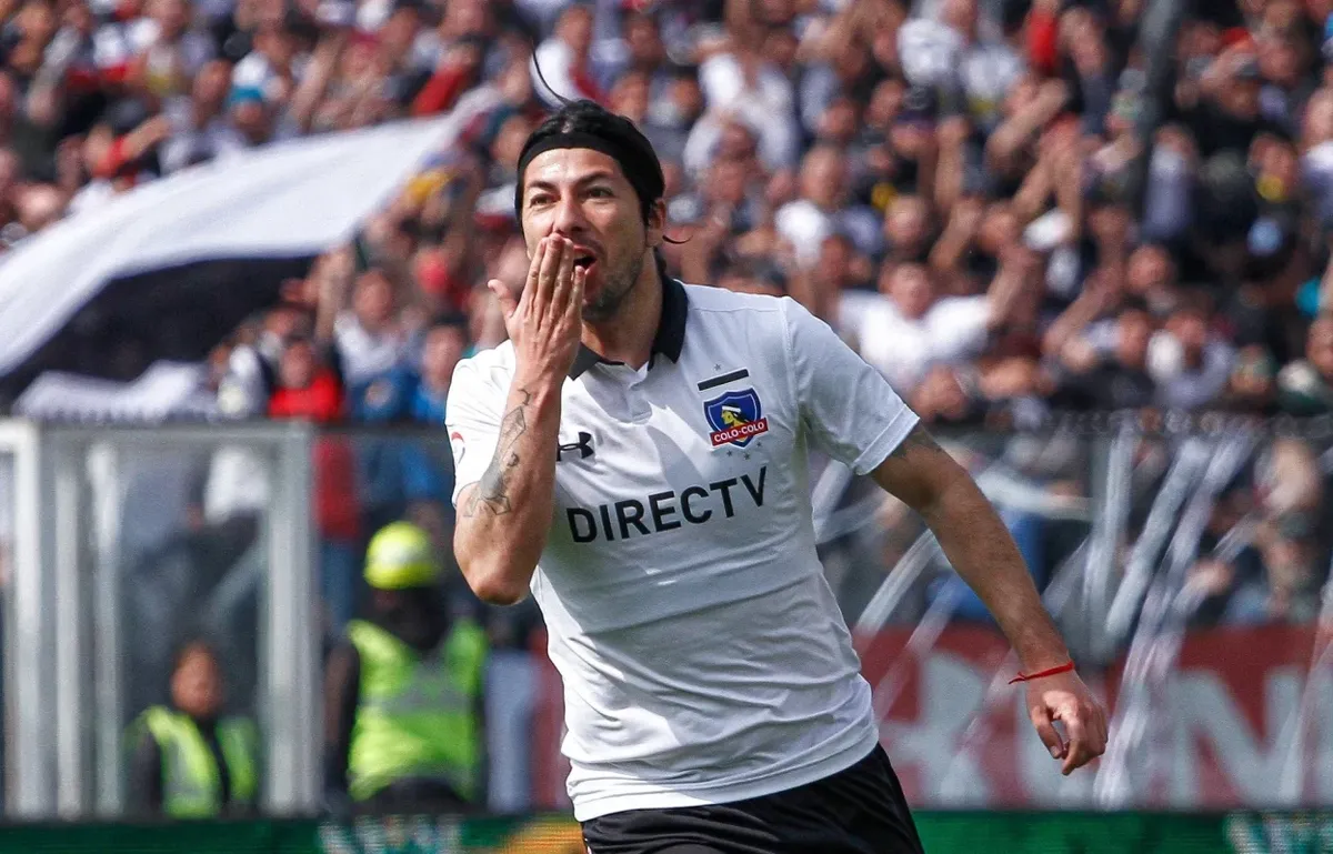 colo colo.webp