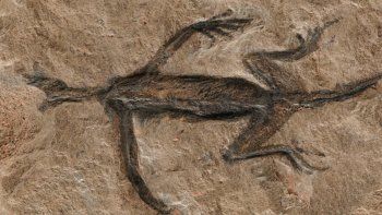 La ciencia sorprende como nunca. La ciencia sorprende como nunca.