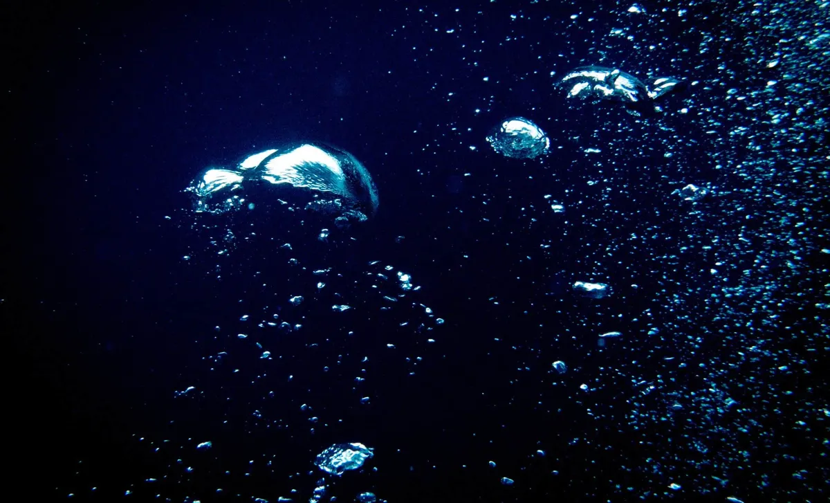 Este descubrimiento plantea nuevas preguntas sobre la vida en las profundidades oceánicas. Este descubrimiento plantea nuevas preguntas sobre la vida en las profundidades oceánicas.