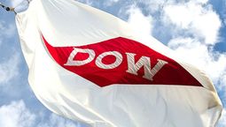 Dow seguirá operando en el país... pero impone sus condiciones.