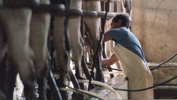 Cada 23 de febrero se celebra el Día del Tambero, honrando el trabajo de quienes producen leche y destacando su contribución a una industria clave en el país. Cada 23 de febrero se celebra el Día del Tambero, honrando el trabajo de quienes producen leche y destacando su contribución a una industria clave en el país.