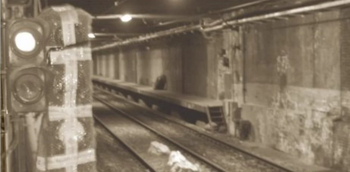 Quienes tuvieron la suerte o la desgracia de verla cuentan que se trata de una estación abandonada y llena de escombros, donde se percibe una presencia maligna. Quienes tuvieron la suerte o la desgracia de verla cuentan que se trata de una estación abandonada y llena de escombros, donde se percibe una presencia maligna.