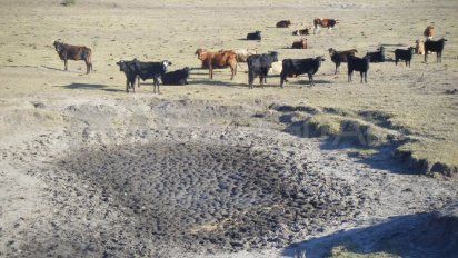 Alerta meteorológico para áreas del Centro, NOA y Patagonia
