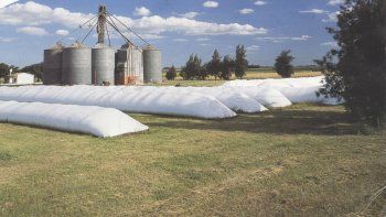 el campo aun no vendio su cosecha porque recibe mensajes contradictorios del gobierno el campo aun no vendio su cosecha porque recibe mensajes contradictorios del gobierno