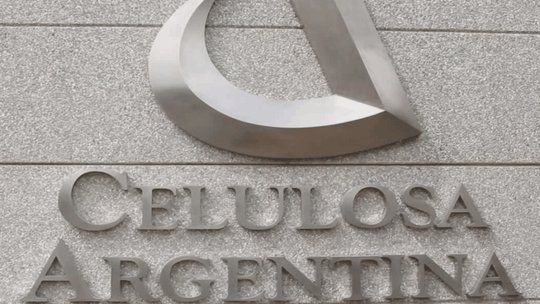 Celulosa Argentina no baja los brazos. Celulosa Argentina no baja los brazos.