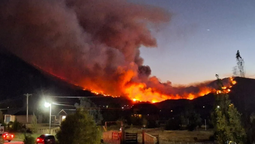 Indignación en medio de la emergencia: Falsos voluntarios comercializaban donaciones por los incendios