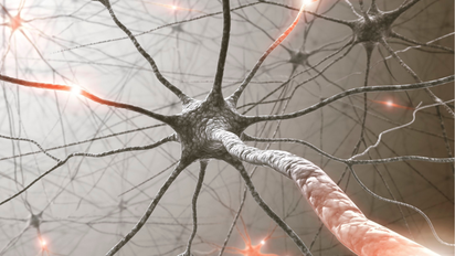 Científicos desafían todo y logran revertir el Alzheimer en ratones