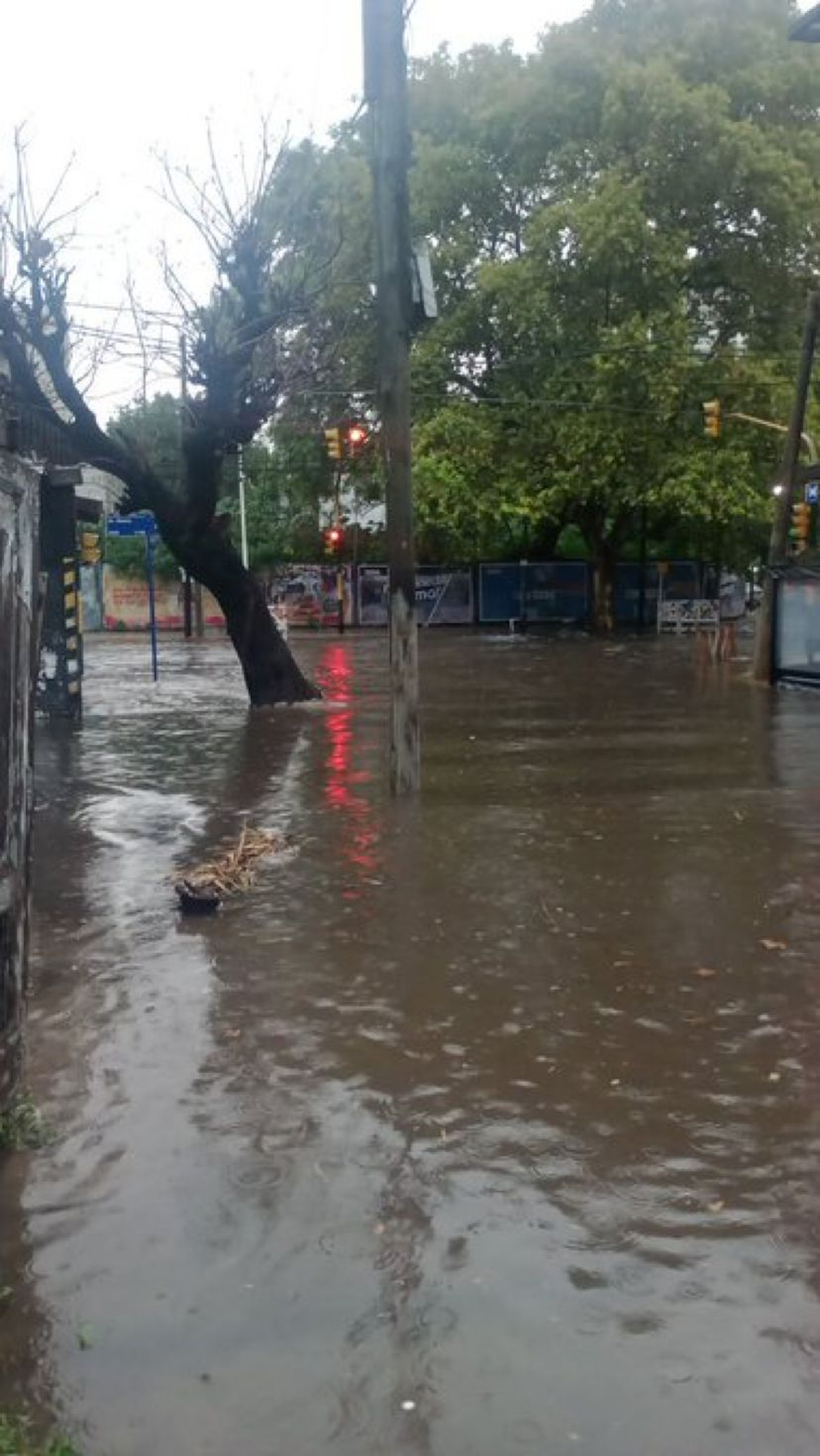 Horror en Lanús: apareció un cuerpo flotando en Valentín Alsina por el  temporal