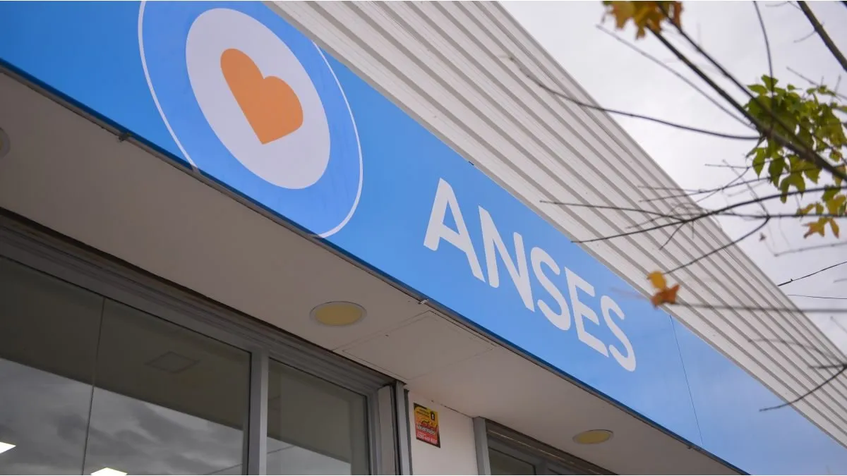 ANSES y un bono indispensable. ANSES y un bono indispensable.