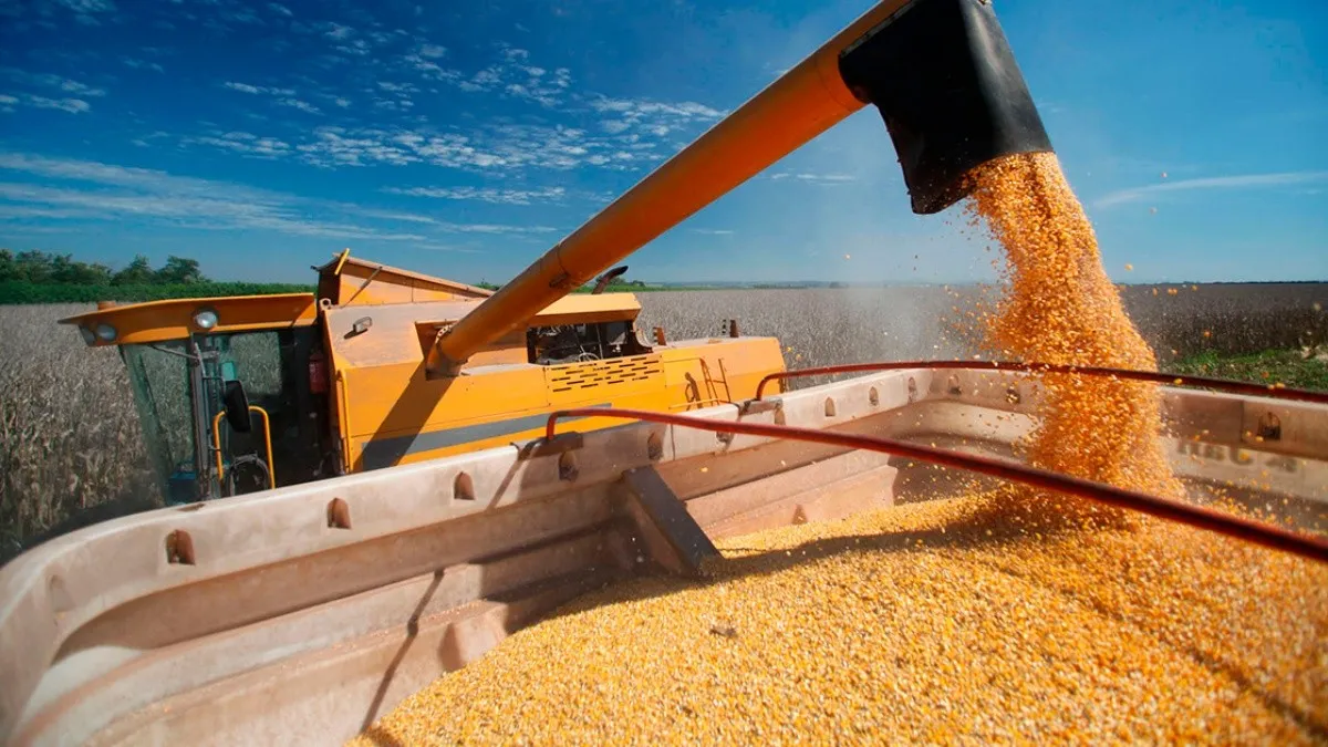 Brasil podría convertirse en el mayor exportador de maíz destronando a Estados Unidos.