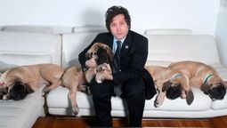Javier Milei dijo en CNN que cada mañana juega con su perro Conan ¿...?