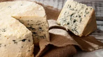 La Cámara de Senadores de Santa Fe sancionó la ley que crea una Región del Queso Azul en cinco departamentos de la provincia. La Cámara de Senadores de Santa Fe sancionó la ley que crea una Región del Queso Azul en cinco departamentos de la provincia.