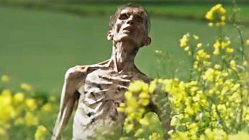 Cillian Murphy modo zombi. Cillian Murphy modo zombi.