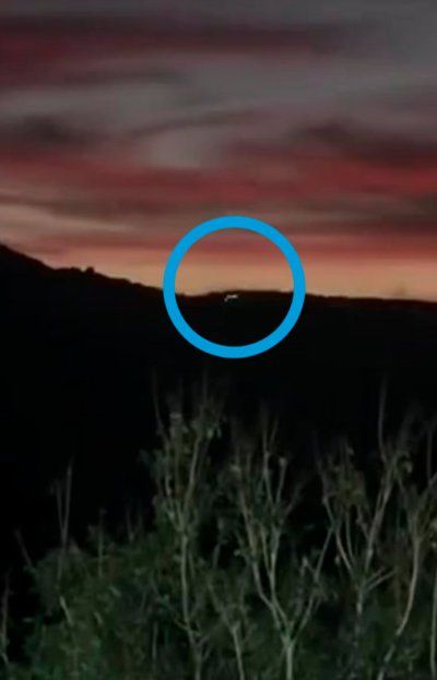 OVNI en Brasil: Filmó un objeto enorme en los bosques y lo subió a Instagram