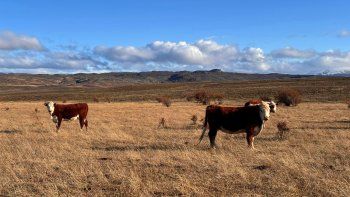Luis Caputo habilitó la emergencia agropecuaria en tres provincias clave: Qué pasó