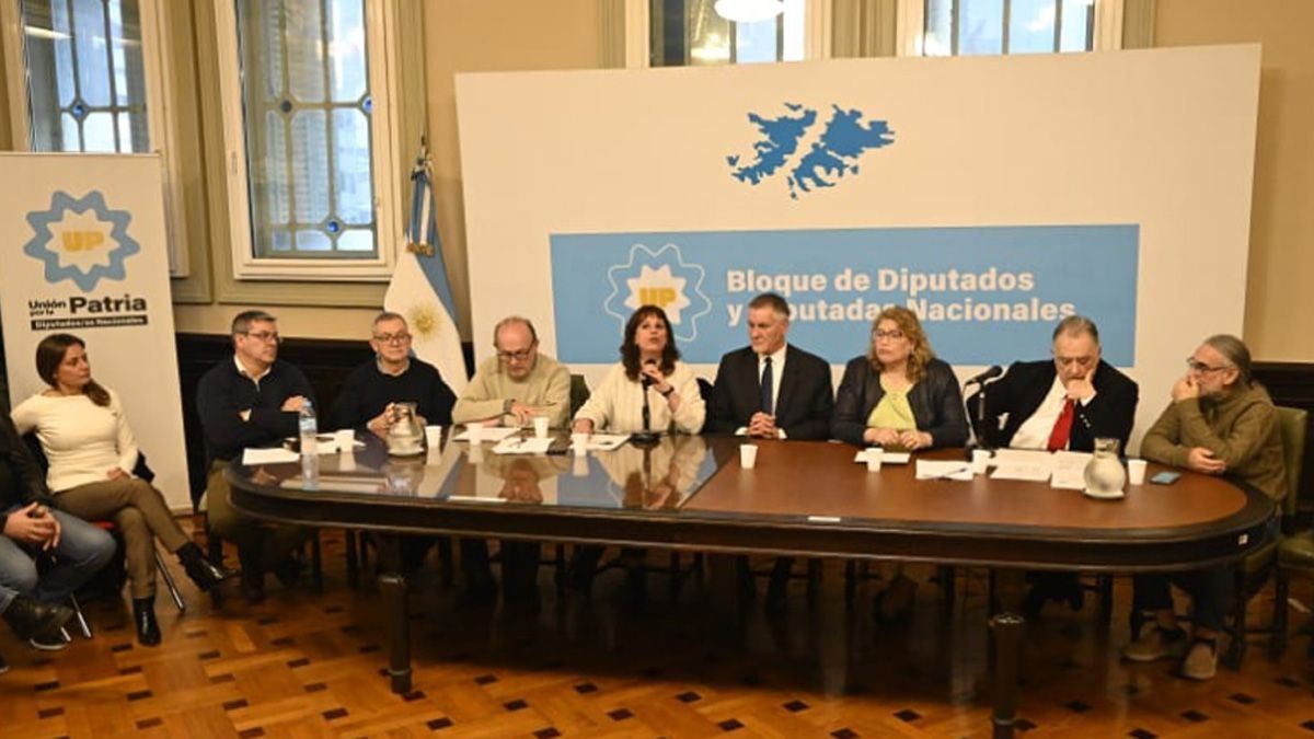 Diputados de UxP contra Patricia Bullrich: Mercenaria de la violencia estatal