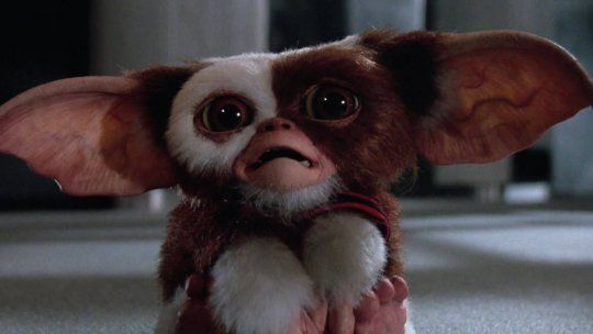 Gremlins. Gremlins.