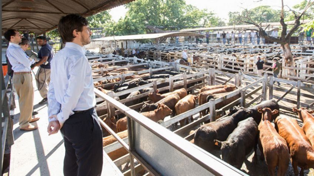 Mercado de Liniers: duró más de un siglo su funcionamiento en Mataderos Mercado de Liniers: duró más de un siglo su funcionamiento en Mataderos