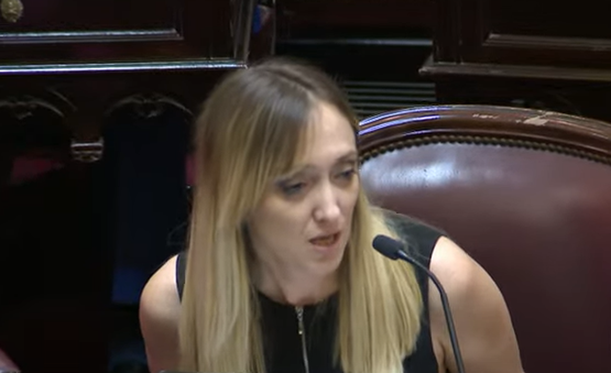 Anabel Fernández Sagasti citó a Milei para argumentar la expulsión de Kueider. Anabel Fernández Sagasti citó a Milei para argumentar la expulsión de Kueider.