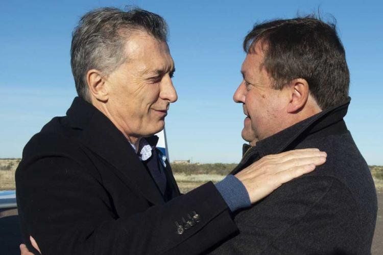macri weretilneck.jpg