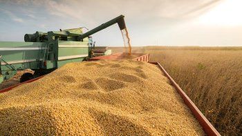 soja y maiz: boom de djve en junio pero sin explosion de exportaciones soja y maiz: boom de djve en junio pero sin explosion de exportaciones