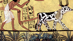 altText(El Paraíso eterno de los antiguos egipcios donde la muerte es el inicio de la vida)}