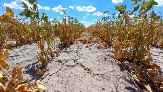 Debido a la sequía, la provincia de Santa Fe dictó este lunes la emergencia o desastre agropecuario en cuatro departamentos.