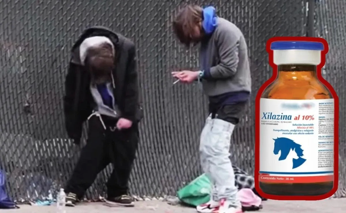 ¿Qué civilización estamos construyendo? ¿Qué civilización estamos construyendo?