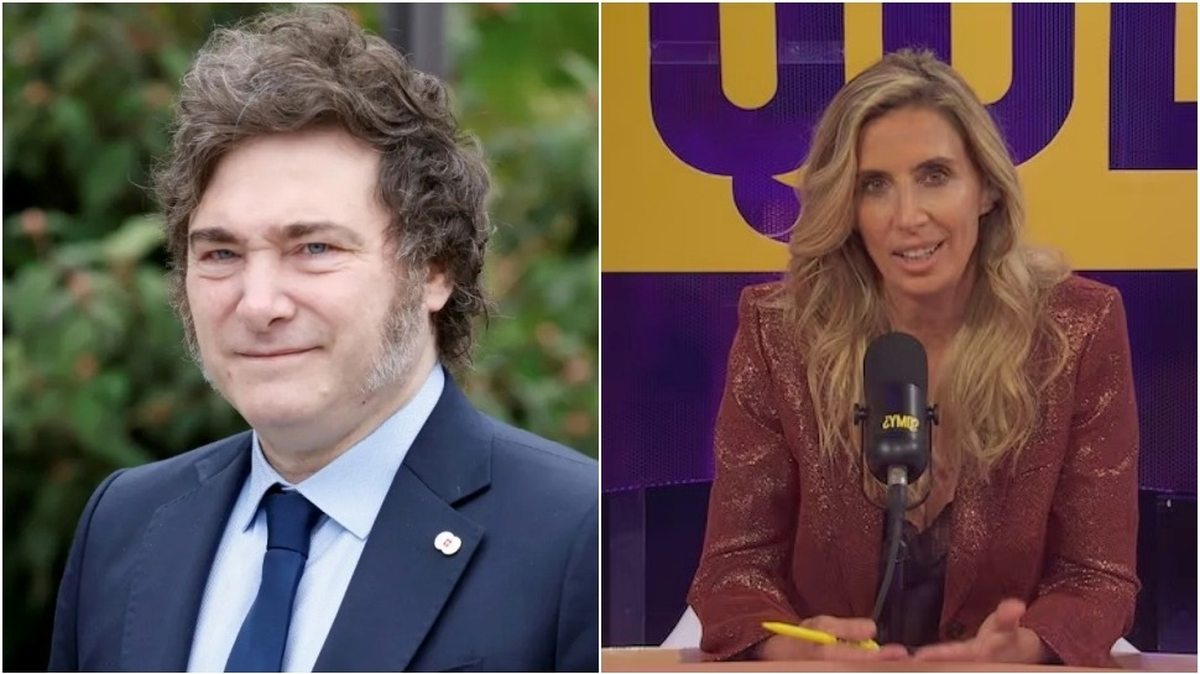 Javier Milei amplificó el caso en X con insultos y acusaciones, pero el fallo desarmó el relato oficial y generó críticas en redes. Fuente: Diario Huarpe Javier Milei amplificó el caso en X con insultos y acusaciones, pero el fallo desarmó el relato oficial y generó críticas en redes. Fuente: Diario Huarpe